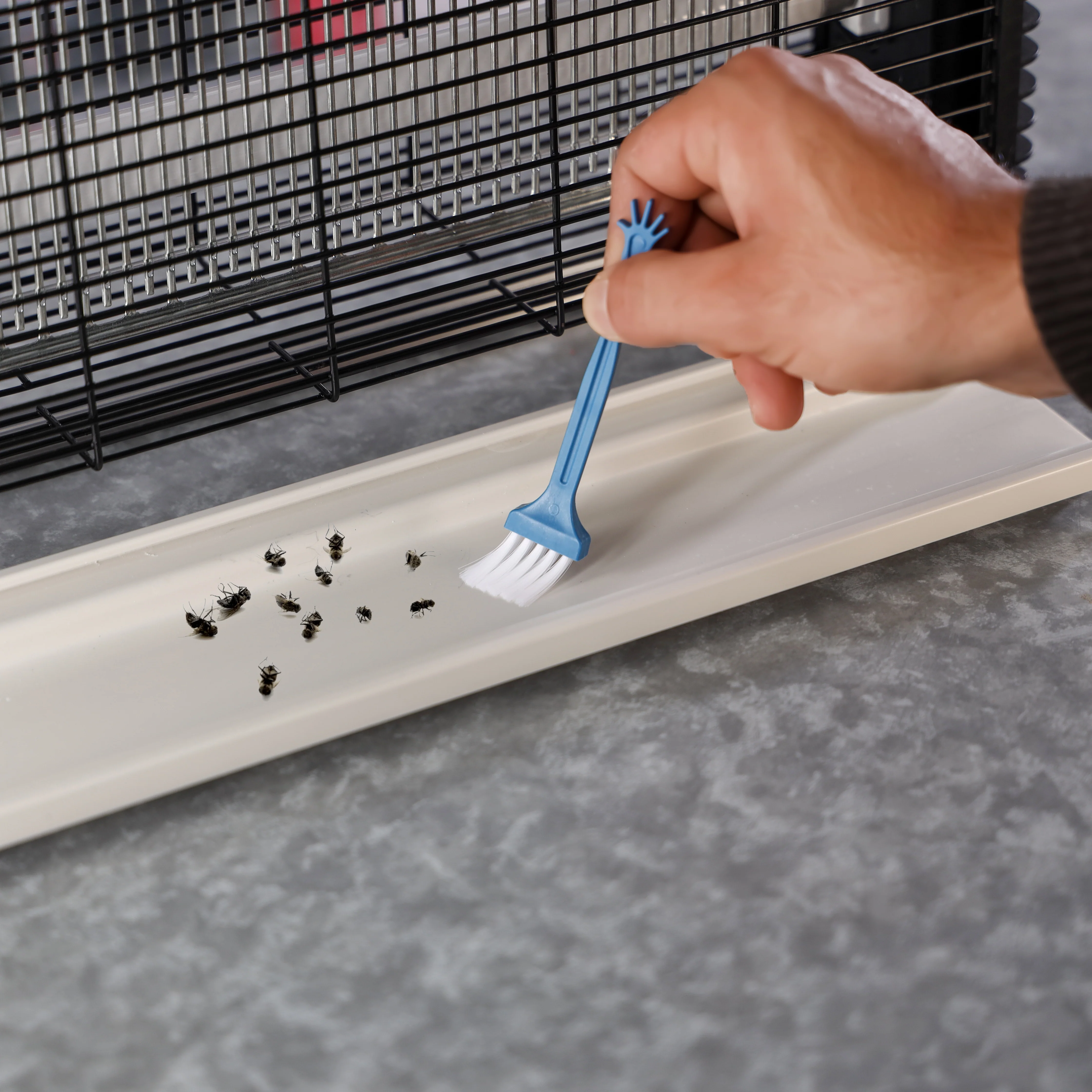 Geepas GBK25619 Electric Insect Killer|30W UV Tube for Mosquito & Fly Control |Odorless & Chemical-Free Operation |Wide Coverage Area |Energy Efficient |2 Years Warranty - Image 7