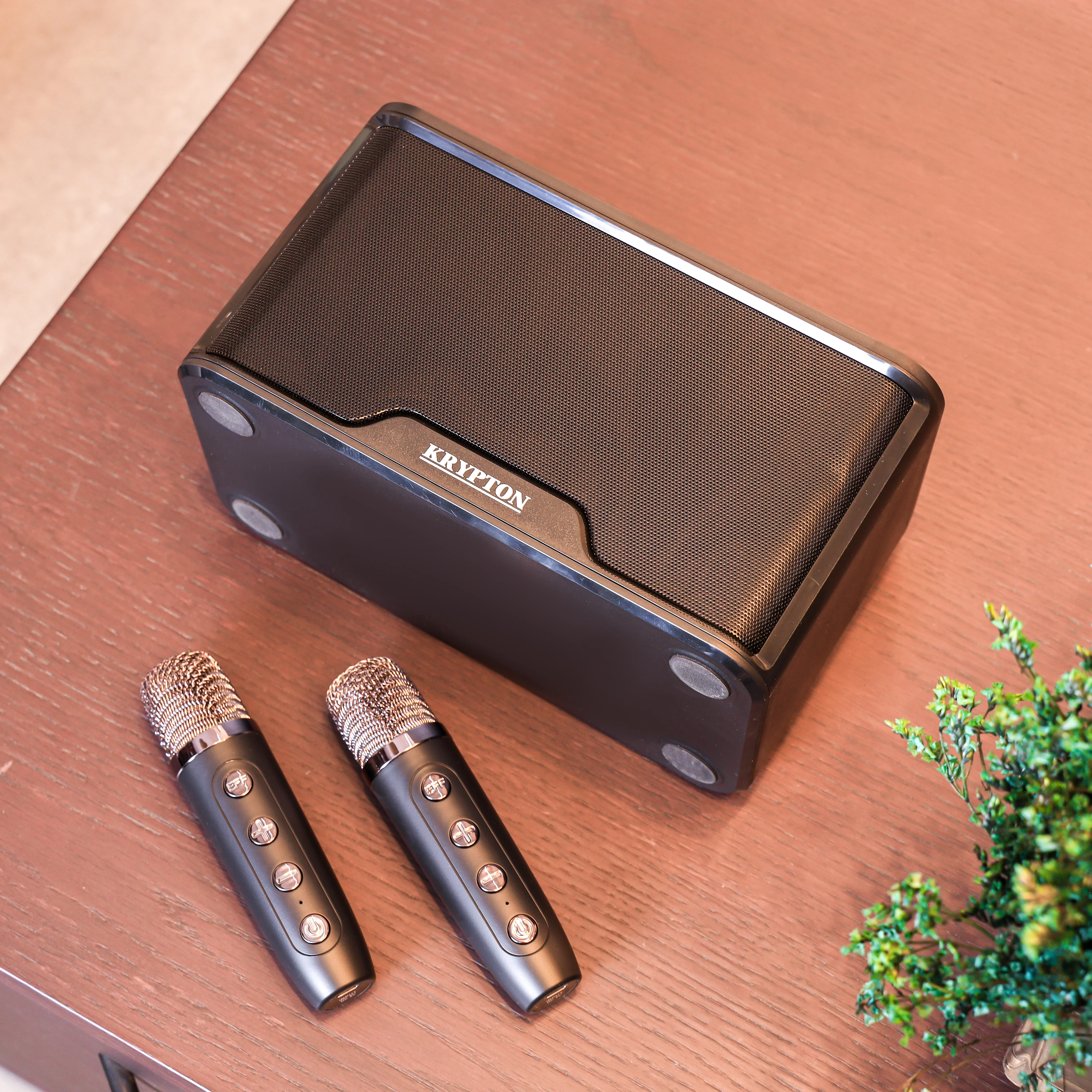 Krypton KNMS5340 Wireless Karaoke Speaker with dual microphones| built-in rechargeable battery, USB/TF playback, AUX input, & powerful portable sound system, easy to use - Image 5